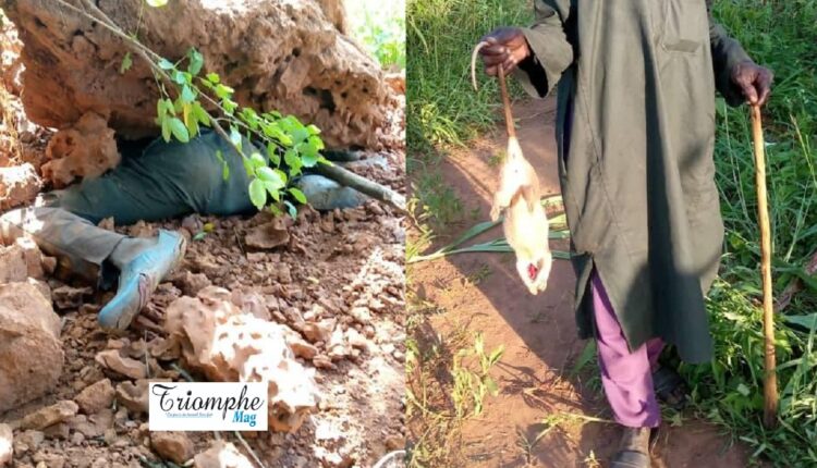 un jeune meurt pour un rongeur à Pèrèrè Bénin