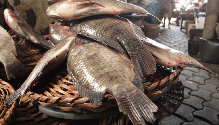 Carpe akpavi poisson @ Charcuterie