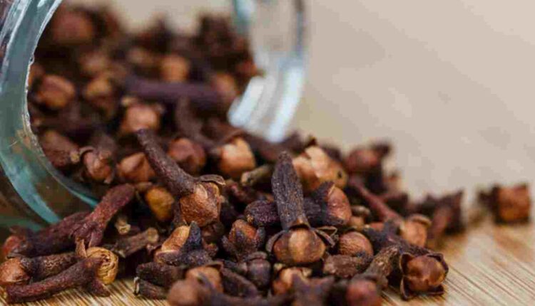 Clou de girofle