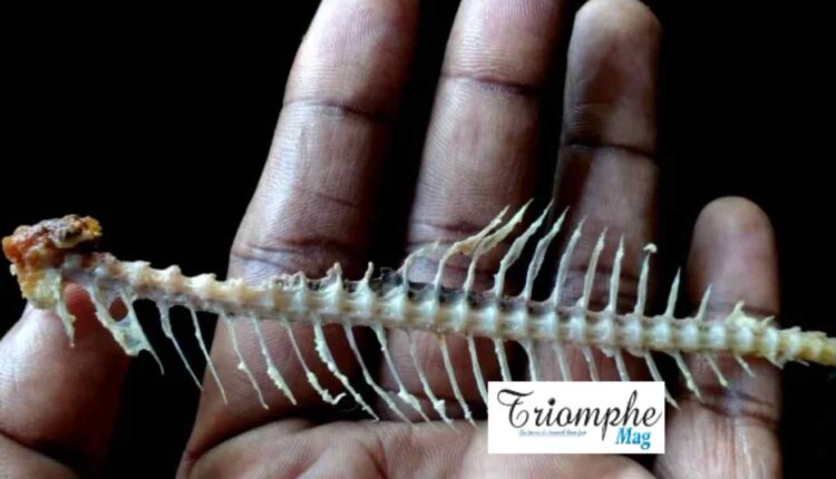 Avez-vous avalé une arête de poisson ? Voici ce qu'il faut faire