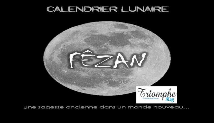 fezan 2022