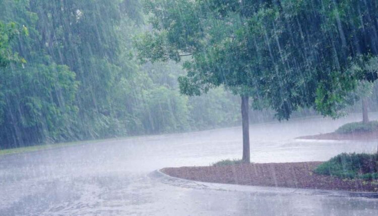 La pluie Ph proxifun