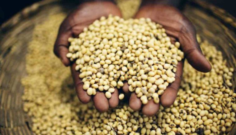 Commercialisation du Soja grain @ République Togolaise