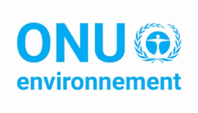 Recrutement Programme des Nations unies pour l'environnement