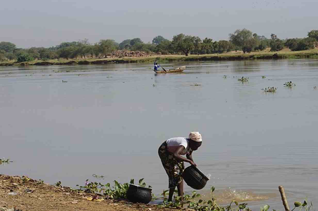 bassins du Niger et de la Volta