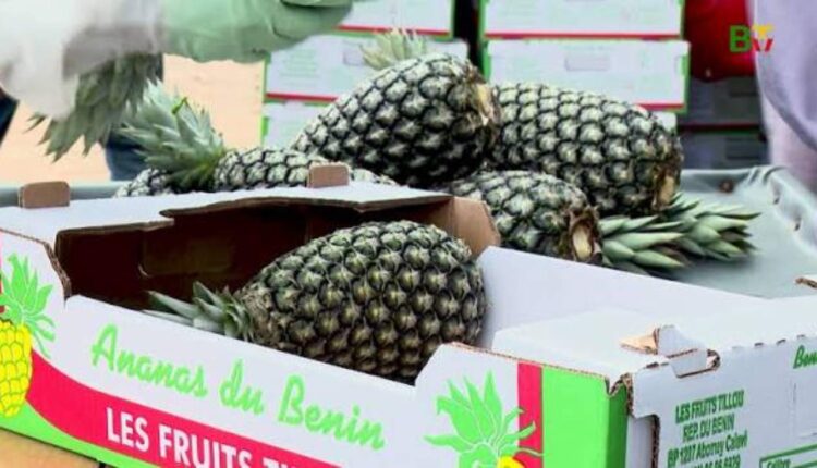 Les Fruits Tillou de Bertille Guèdègbé Marcos
